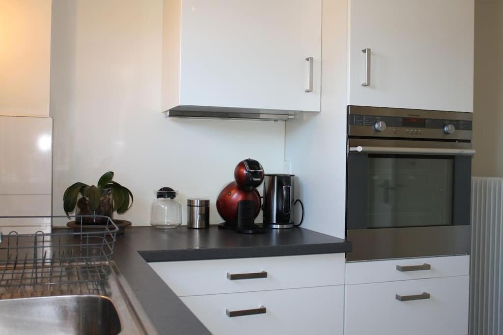 Superb Apt- Garden- 3 Parkings, Near Petite Venise ! Colmar Exterior photo