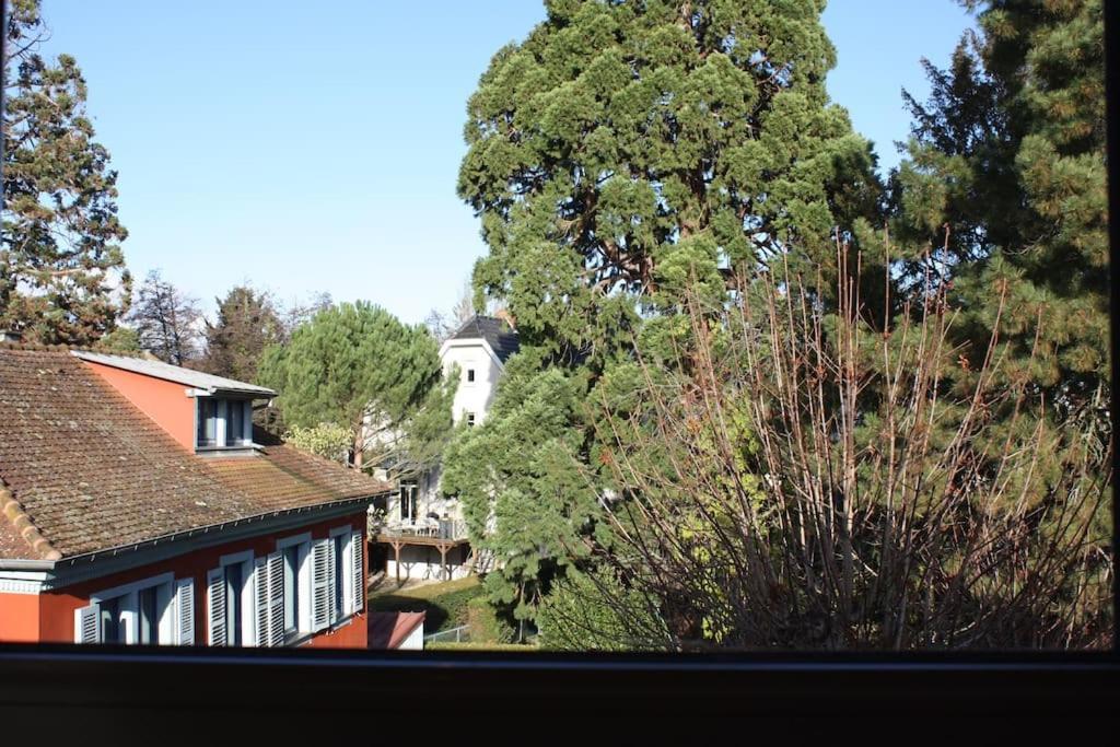 Superb Apt- Garden- 3 Parkings, Near Petite Venise ! Colmar Exterior photo